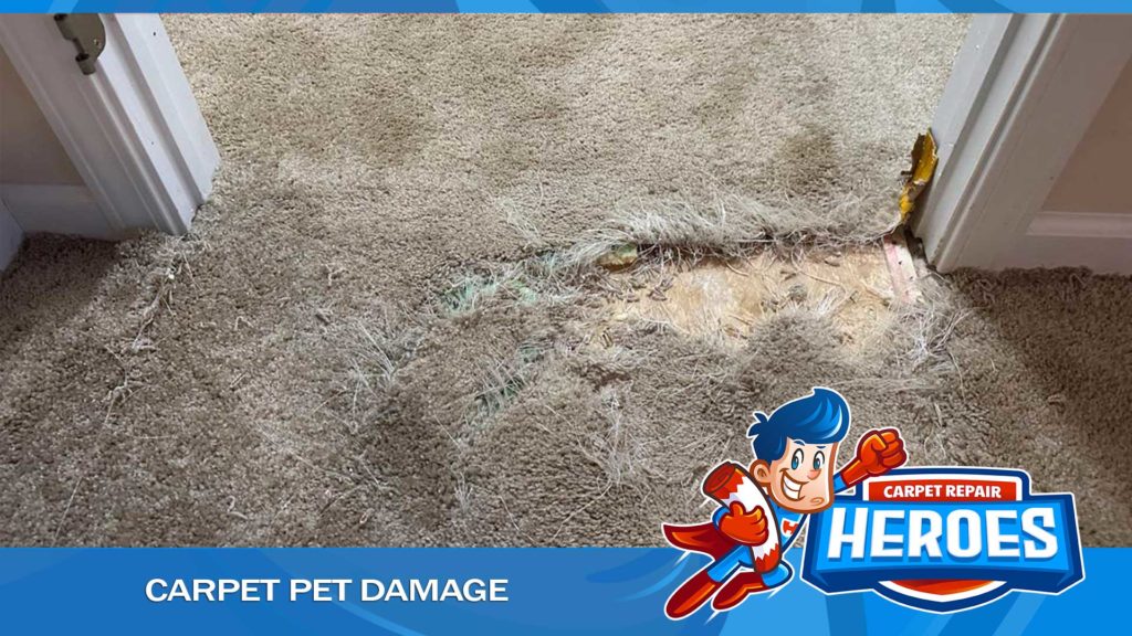 Carpet Repair Sacramento CA